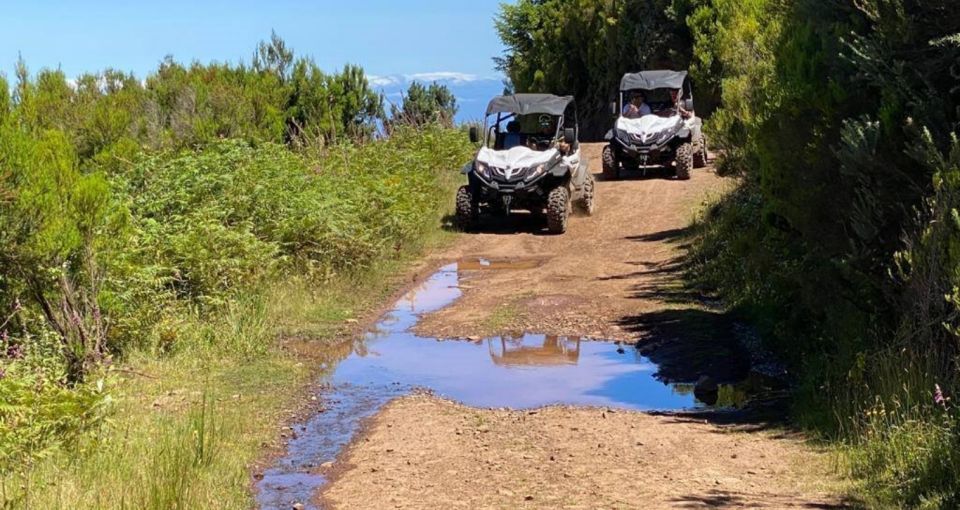 Madeira: Half-Day Off-Road Buggy Tour - Inclusions and Amenities