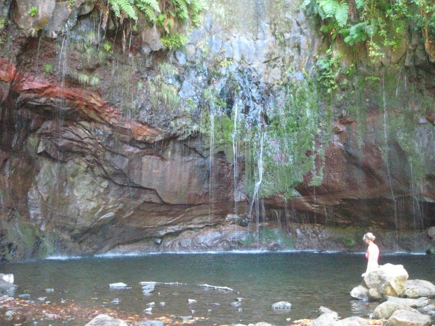 Madeira: Mountain Walk With Lagoon and Waterfalls - Customer Reviews and Feedback