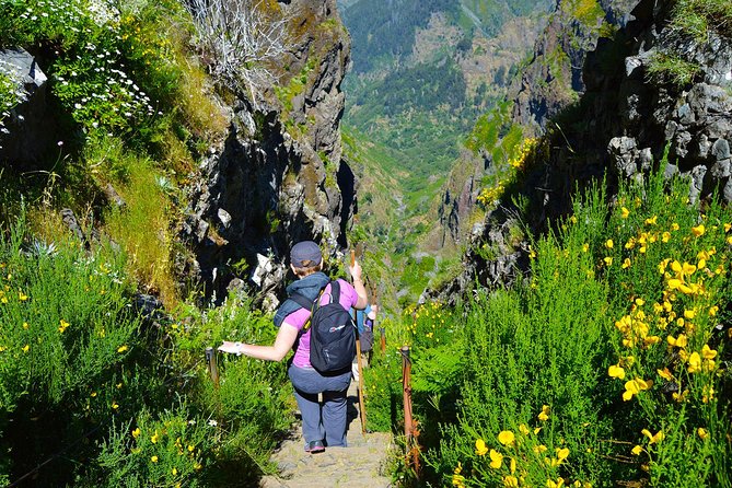 Madeira Peaks - Mountain Walk - Accommodating Service Animals