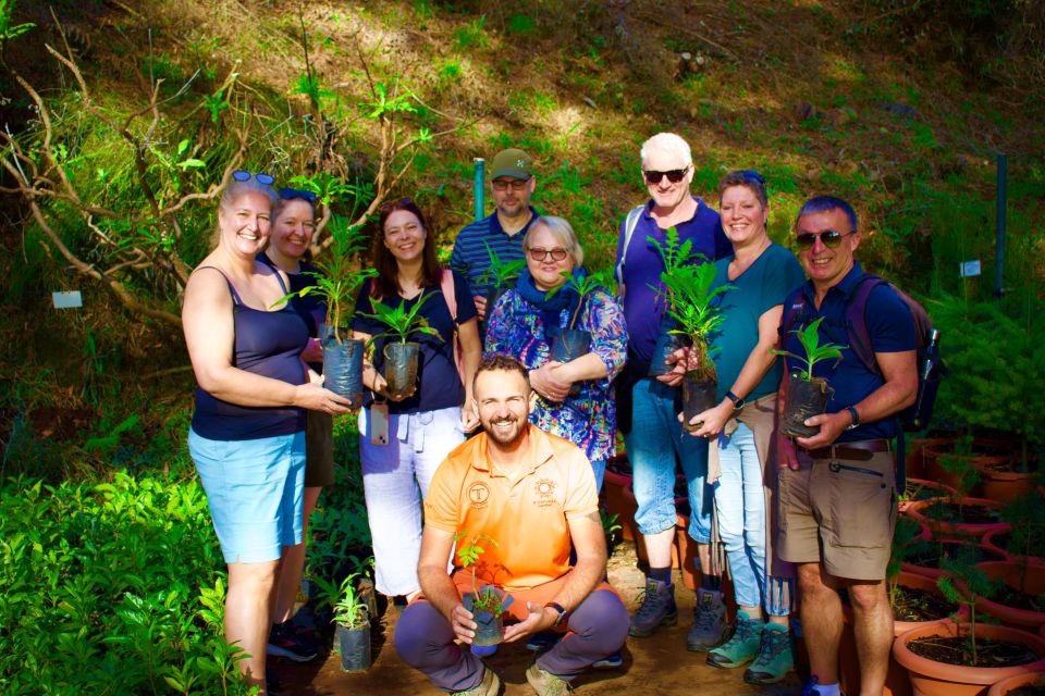 Madeira: Pico Do Areeiro, Santana, and Machico's Golden Beach - Panoramic Views at Facho Peak