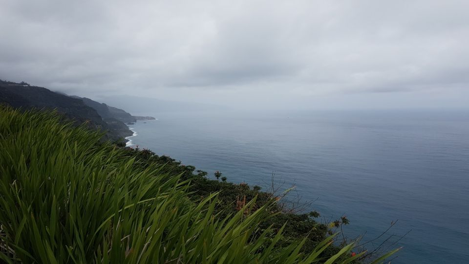 Madeira: Private Half-Day North East Island Tour - Transportation and WiFi