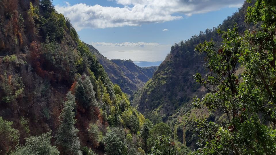 Madeira: Private Moinhos Levada Nova Walk Ponta Do Sol - Cancellation Policy