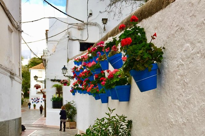 Marbella Old Town Group Tour With a True Local - Highlights of the Marbella Old Town