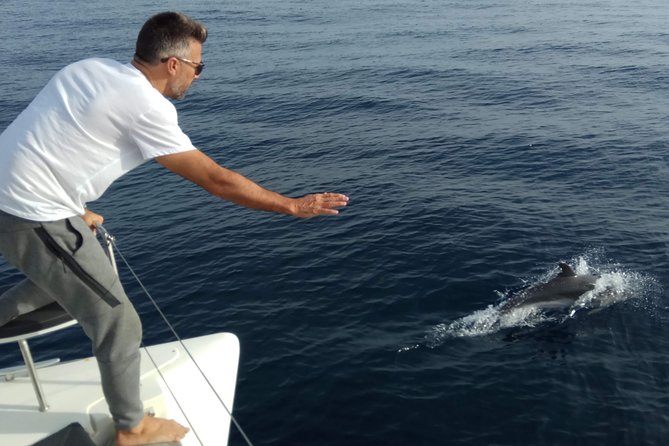 Marbella Small Group Catamaran With Dolphin Watching - Pricing Information