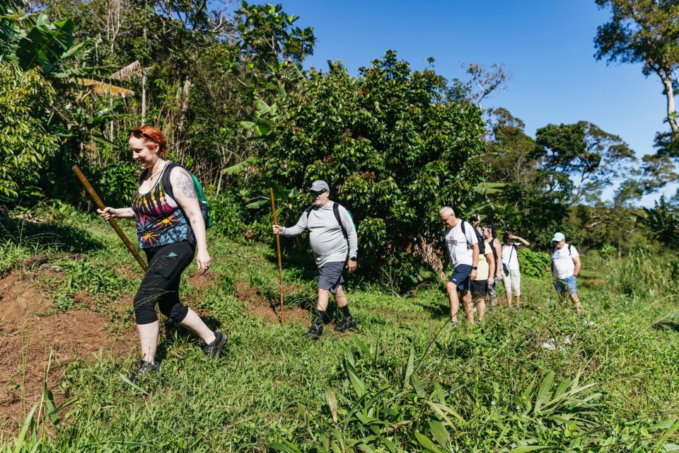 Maui: Rainforest Waterfalls Guided Hike With Picnic Lunch - Meeting Point and Pickup