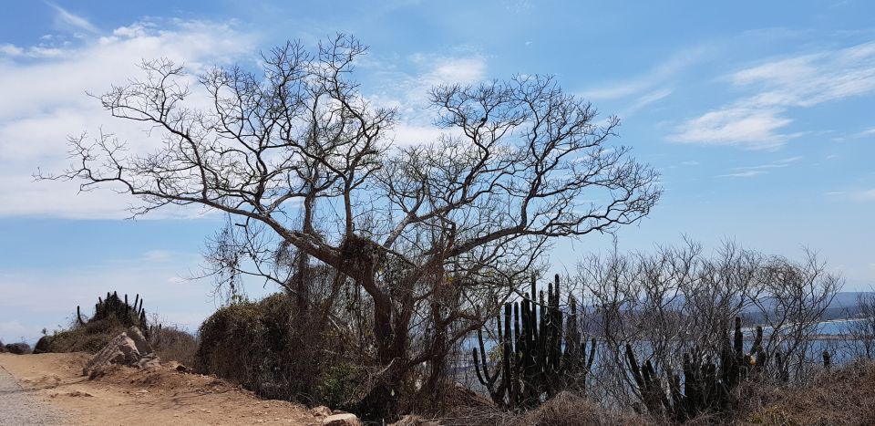 Mazatlan: El Faro Lighthouse Tour With Free Digital Photos - Panoramic Views