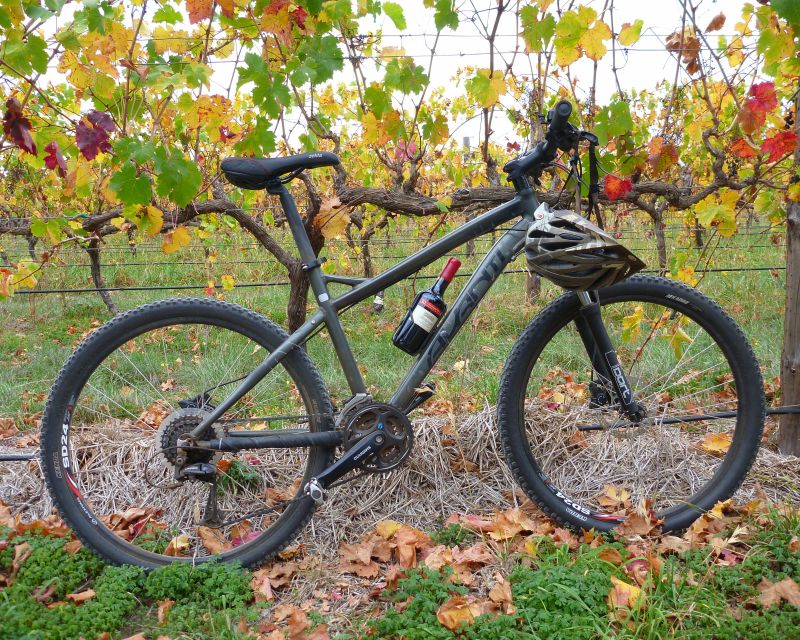 Mclaren Vale Hills Vines and Wines Bike Tour From Adelaide - Recap