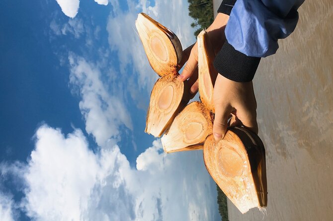 Mekong With Biking Private Tour - Tips for a Great Experience