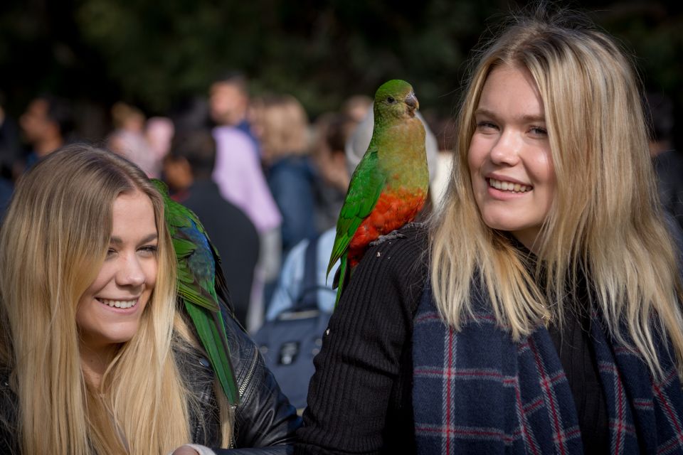 Melbourne: 2-Day Great Ocean Road & Grampians Tour - Customer Feedback