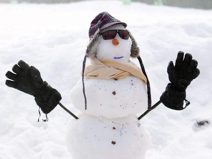 Melbourne: Lake Mountain Snow Guided Tour - Frequently Asked Questions