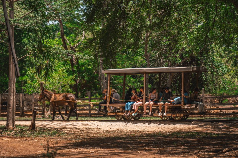 Merida: Hacienda Sotuta De Peon With Cenote and Henequen Tour - Booking and Cancellation Policy