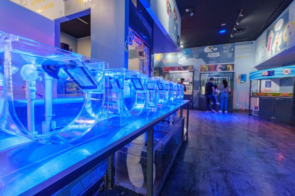 Mexico City: Inbursa Aquarium Ticket With VR Option - Priority Access and Entry