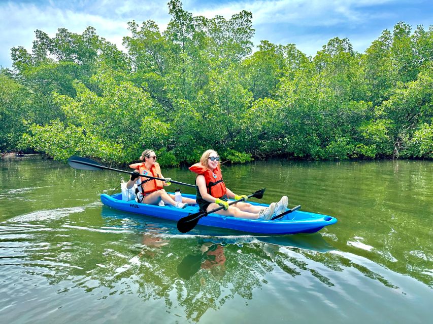 Miami: Paddle Board or Kayak Rental in Virginia Key - Wildlife Sightings