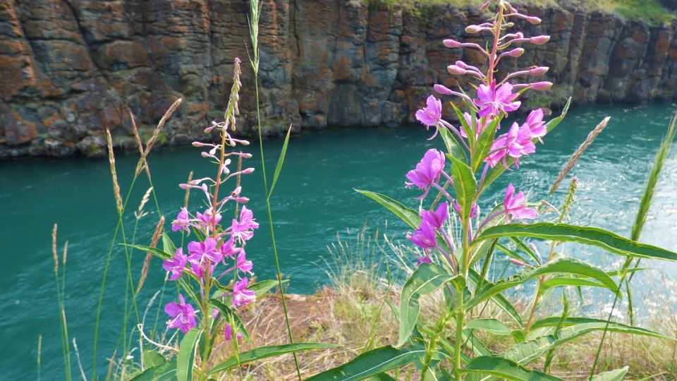 Miles Canyon: Self-Guided Nature Tour With Audio Guide - Klondike Gold Rush History