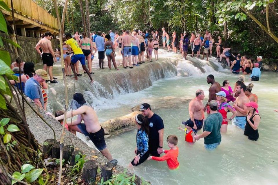 Montego Bay: Private Bob Marley and Dunns River Falls Tour - Dunns River Falls Adventure