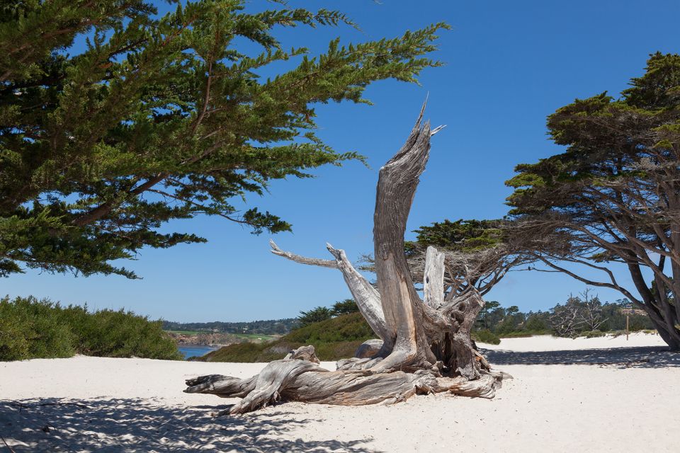 Monterey, Carmel, 17 Mile Dr, Big Sur & Mcway Falls Pvt Tour - Recap