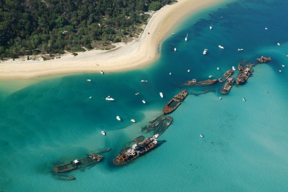 Moreton Island: Tangalooma Snorkelling With Dolphin Viewing - Recap