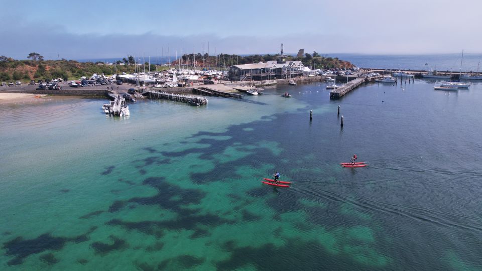 Mornington: Port Phillip Bay Water Bike Tour - Recap