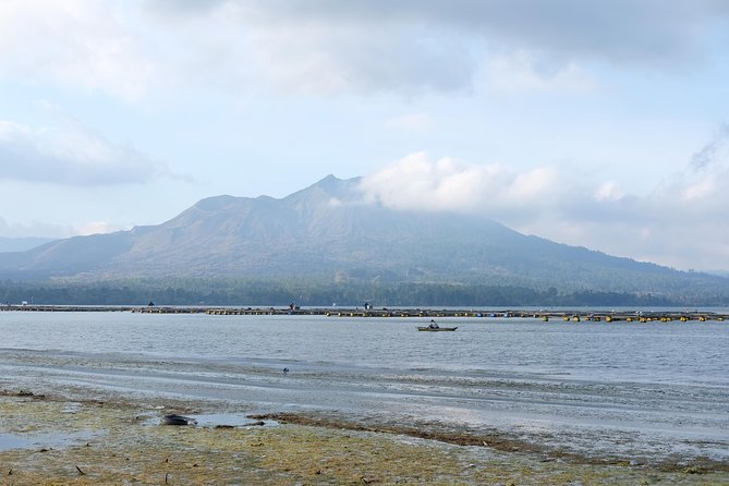 Mount Batur Sunrise Trekking Tour - Visiting a Coffee Plantation