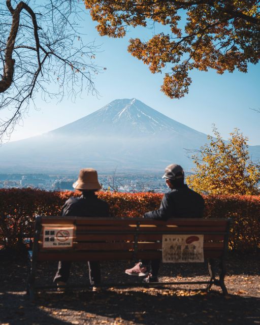 Mount Fuji and Hakone Full Day Private Tour - Optional Owakudani Valley