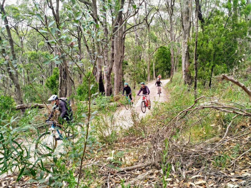 Mount Lofty Downhill Bike Tour & Cleland Wildlife Park Visit - Frequently Asked Questions