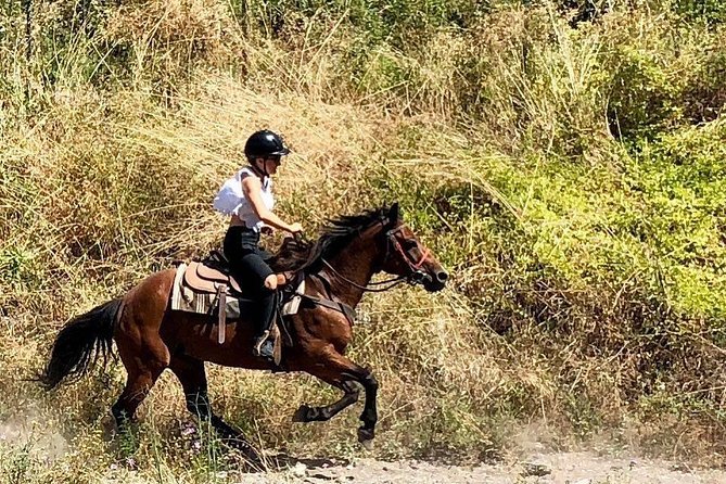 Mount Vesuvius Guided Horse Riding Tour With Sample Wine - Relax With a Glass of Wine