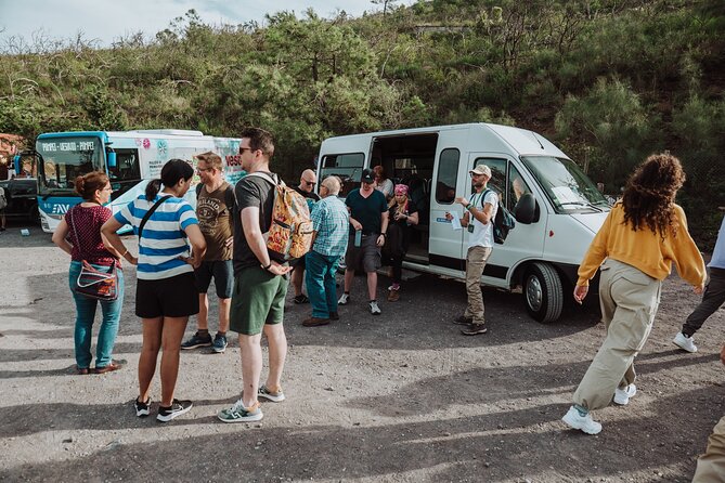 Mount Vesuvius Tour From Pompeii Led by an Expert Guide - Group Size and Accessibility