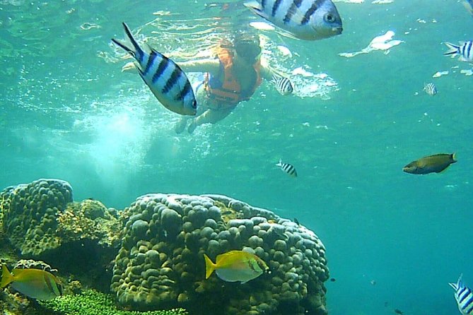 Mr. Tu Day Trip to Angthong Marine Park by Speed Boat From Koh Samui - Important Notes and Reminders