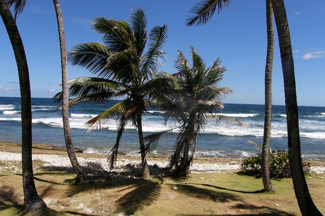 Natural Wonders of Barbados Small-Group or Private Tour With Harrisons Cave - Tour Logistics and Details