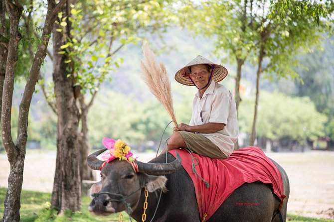 Ninh Binh Daily Tour: Hoa Lu - Tam Coc Boat Trip and Bike - Biking Experience