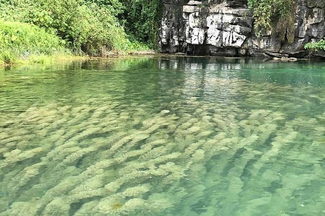 Ninh Binh Day Tour: Bai Dinh Trang an Boat Trip - Customer Reviews and Feedback