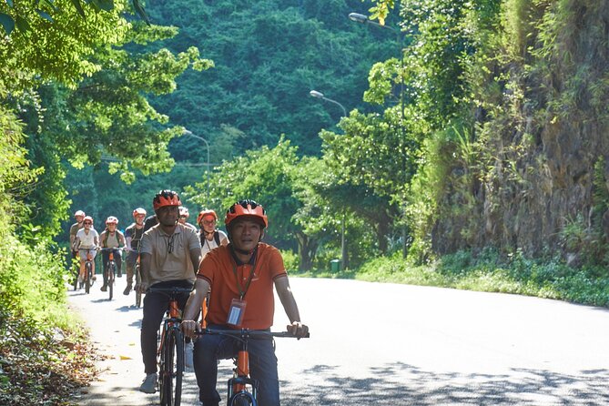 Ninh Binh Day Trip: Hoa Lu-Trang An-Mua Cave, Buffet, Cycling, Boat - Mua Cave Viewpoint