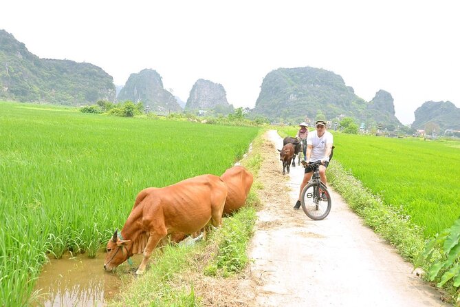 Ninh Binh Full-Day Small Group of 9 Guided Tour From Hanoi - Operator and Cancellation Policy