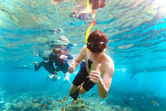 NNUSA Penida: Snorkeling at 2 - 4 Spots, Manta Point or Manta Bay - Customer Reviews and Feedback