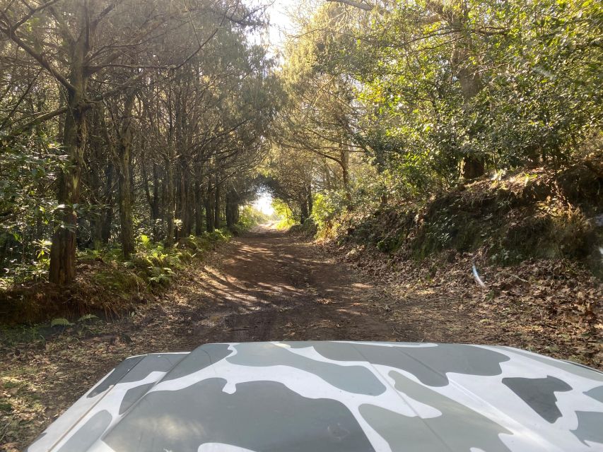 North-East Madeira Jeep Safari Tour for the Nature Lovers - Breathtaking Views