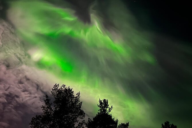Northern Light Hunt With Minibus to Abisko 7:30 Pm - Small-Group Advantages