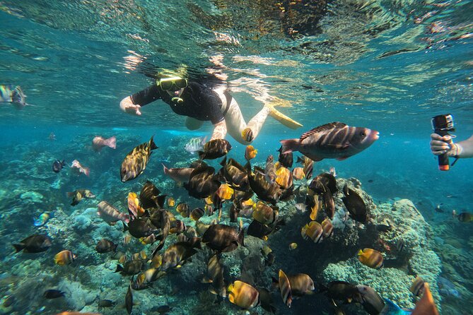 Nusa-Penida Customize Tour - All Inclusive - Exceptional Customer Reviews