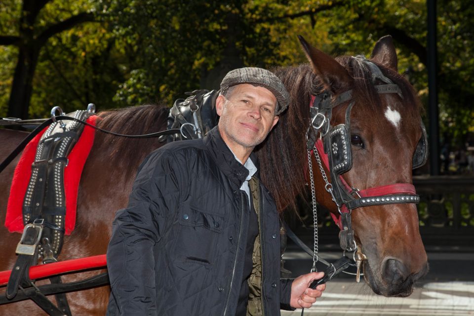 NYC: Central Park Horse-Drawn Carriage Ride (up to 4 Adults) - Know Before You Go