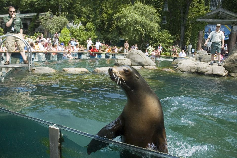 NYC: Visit Central Park Zoo & 30+ Top Sights Walking Tour - Luggage Restrictions