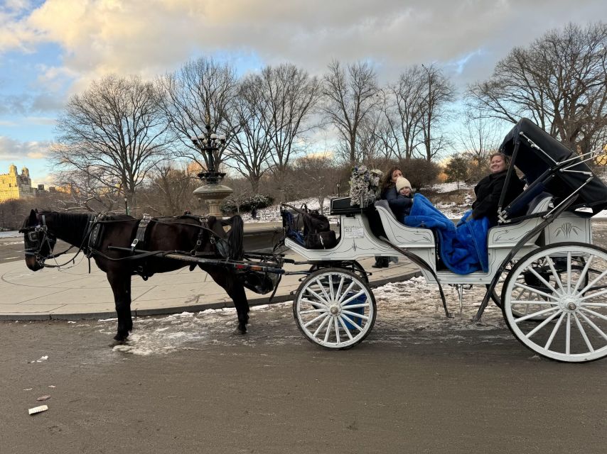 NYC:Guided Central Park Horse Carriage Ride - Cancellation Policy