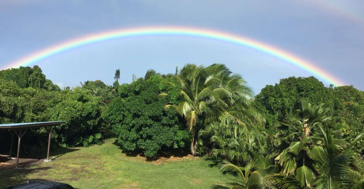 Oahu: Private Island Tour - Scenic Views and Hikes