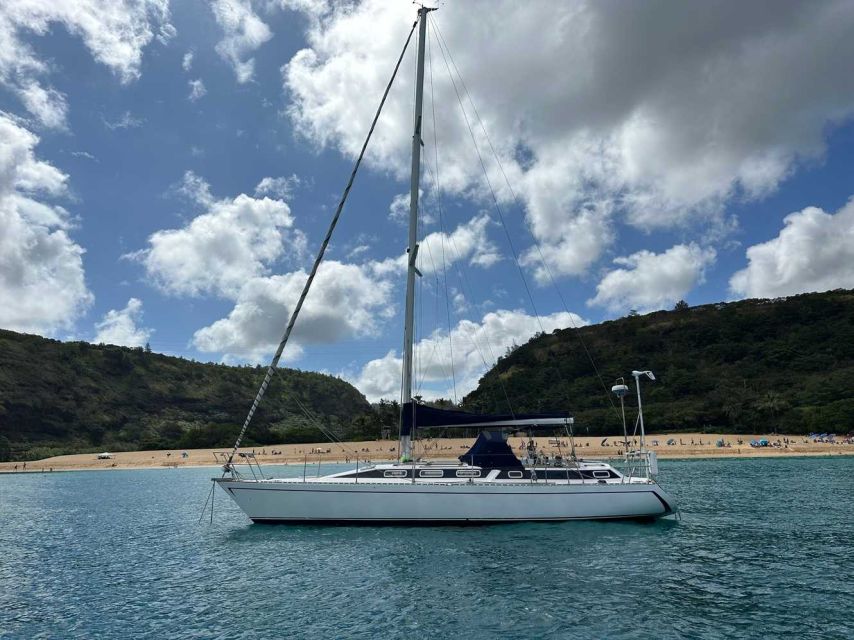 Oahu : Waikiki Sailing Turtle Snorkeling in Small Groups - Group Size