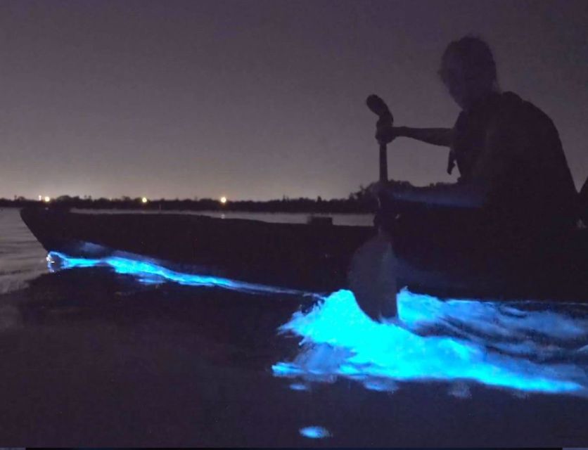 Orlando: Bioluminescence Clear Kayaking or Paddleboarding - Frequently Asked Questions