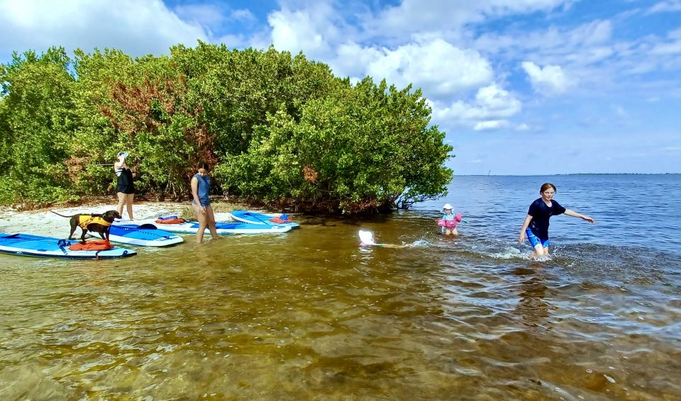 Orlando: Dolphin Clear Kayak or Paddle Board Adventure - Search for Wildlife