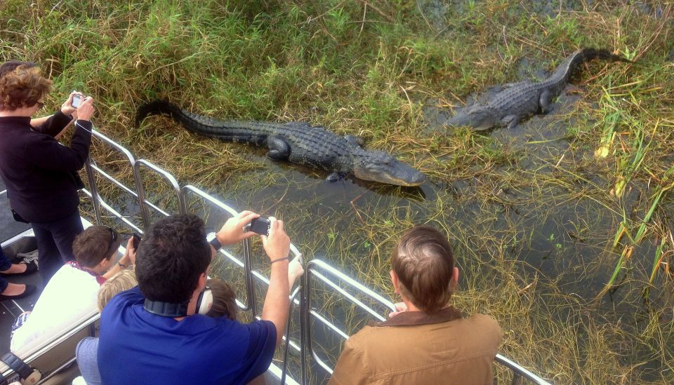 Orlando: Everglades Airboat Ride and Wildlife Park Ticket - Booking and Cancellation Policy