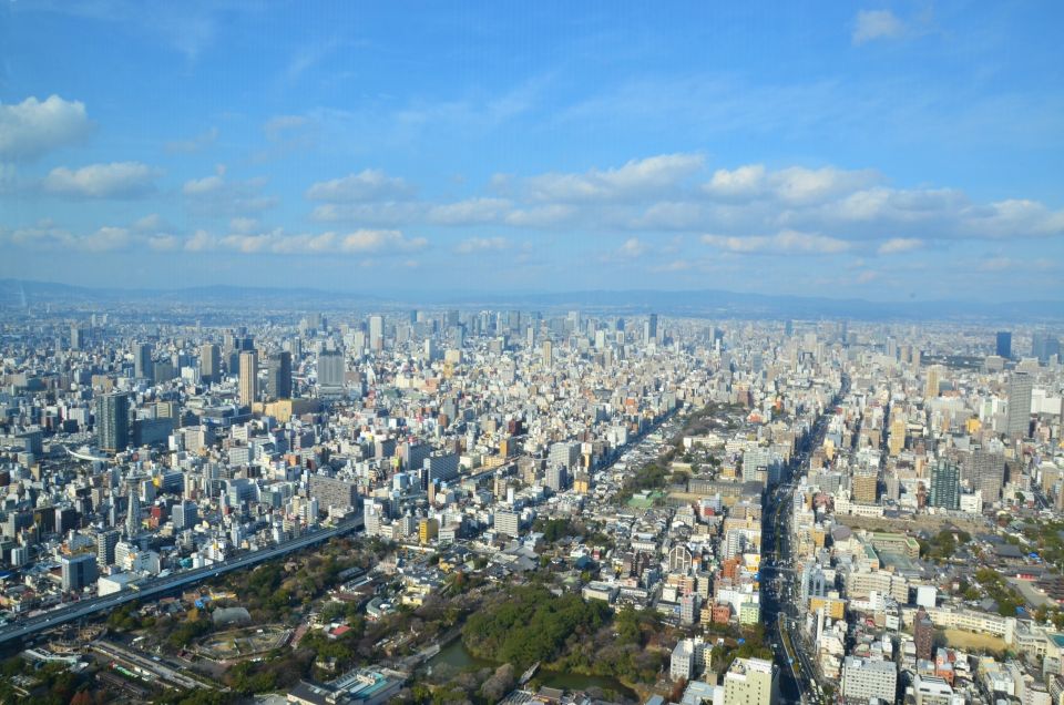 Osaka: Full-Day Sightseeing Tour by Private Vehicle - Dotonbori Guided Tour