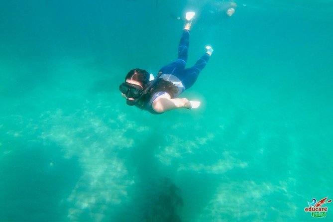 Paddle Surf Route Cliffs Nerja and Cascada De Maro + Snorkel - Highlights