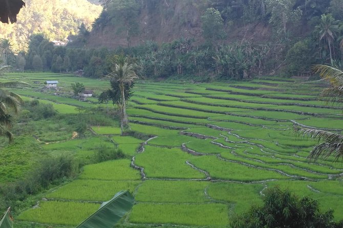 Pauls Flores Tour Labuan Bajo to Ende Flores Land Tour Inland by Car 6 Days - Customer Reviews