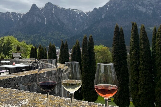 Peles & Cantacuzino Castles: Gourmet Wine & Cultural Day trip - Traveler Reviews and Recommendations