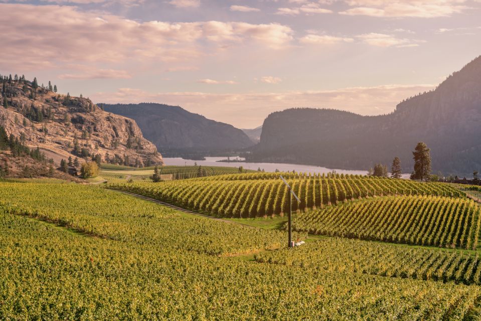 Penticton Wineries Tour - Poplar Grove Winery Lunch and Tasting